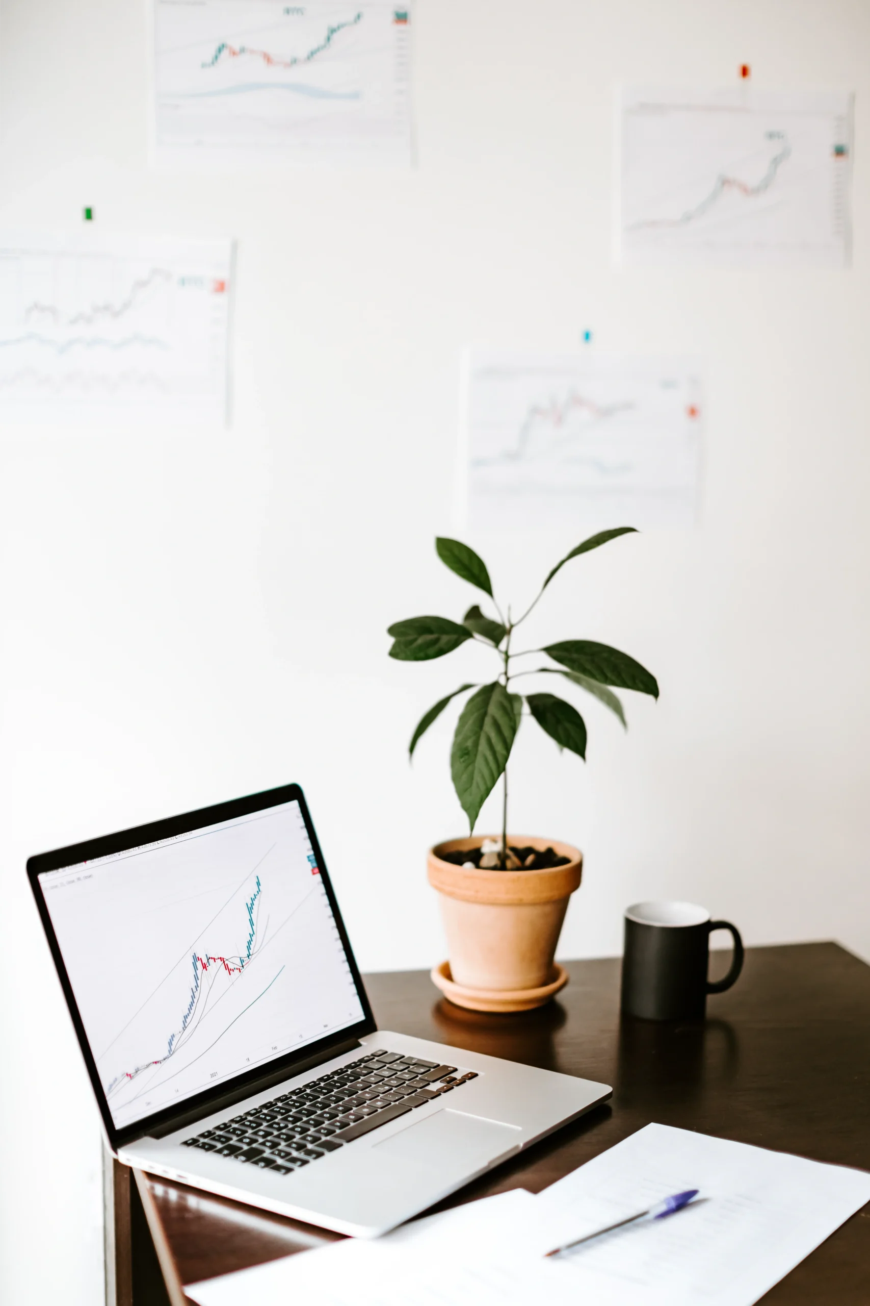 SEO optimizacija TopWeb